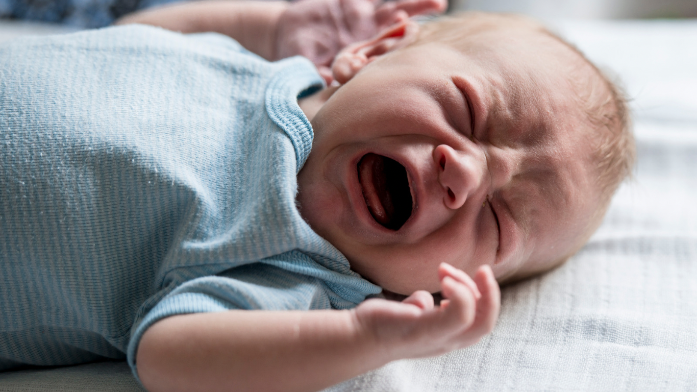 15841B7A-50D4-4554-A723-4C8268D65B09